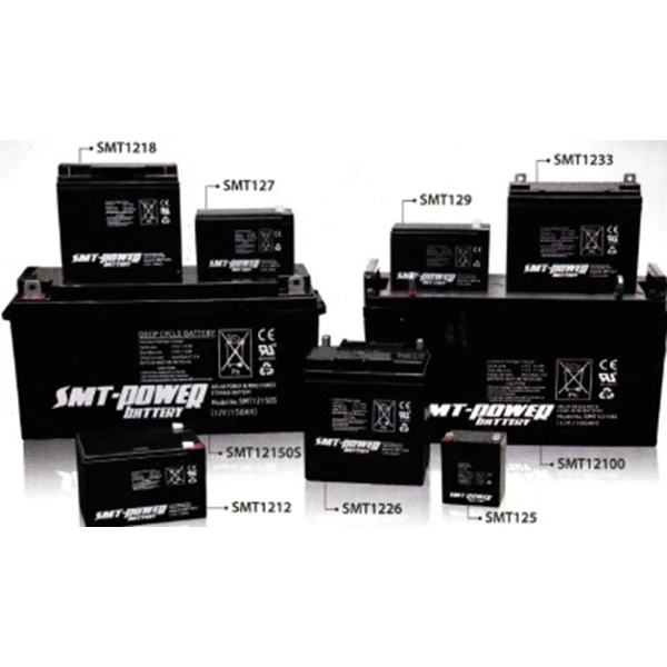 BATTERY UPS SMT POWER Capacity 6V4.5AH