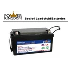 Battery UPS Power Kingdom PK80-12 1