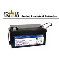Battery UPS Power Kingdom PK80-12