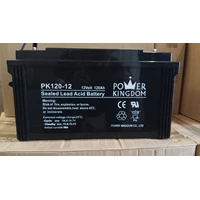 Battery UPS Power Kingdom PK120-12