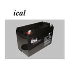 Battery UPS ICAL Standard Series LIP12100 1